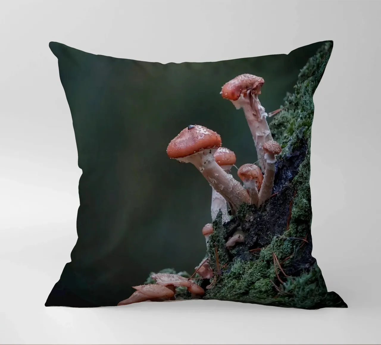 Funghi nella foresta cuscino da Tom's Wildlife