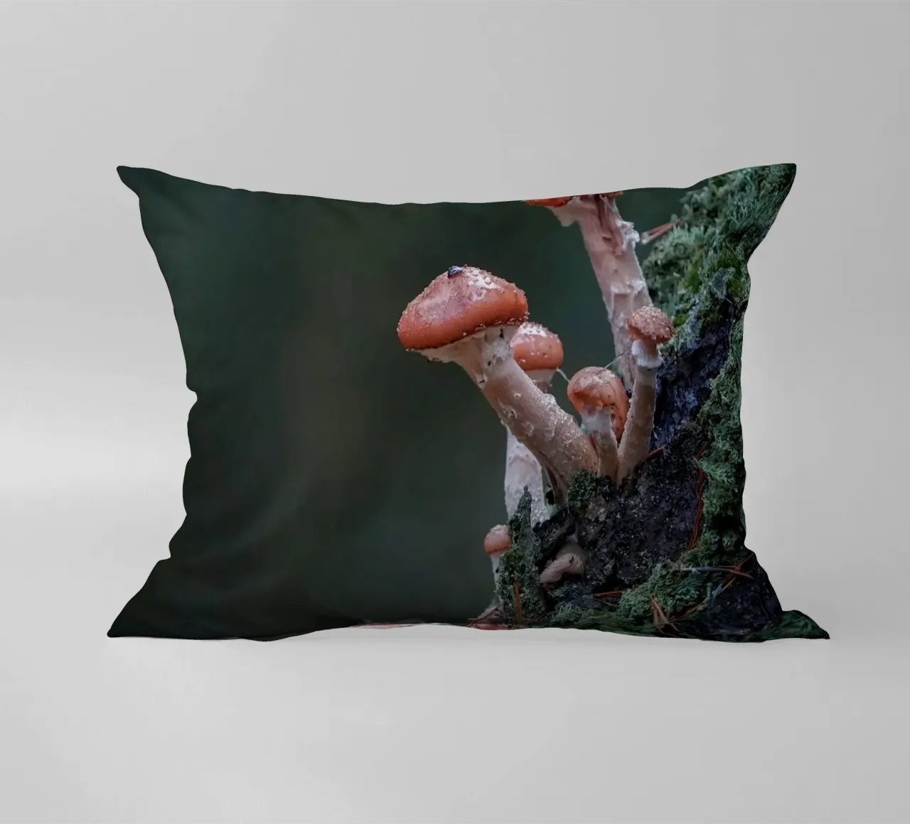 Funghi nella foresta cuscino da Tom's Wildlife