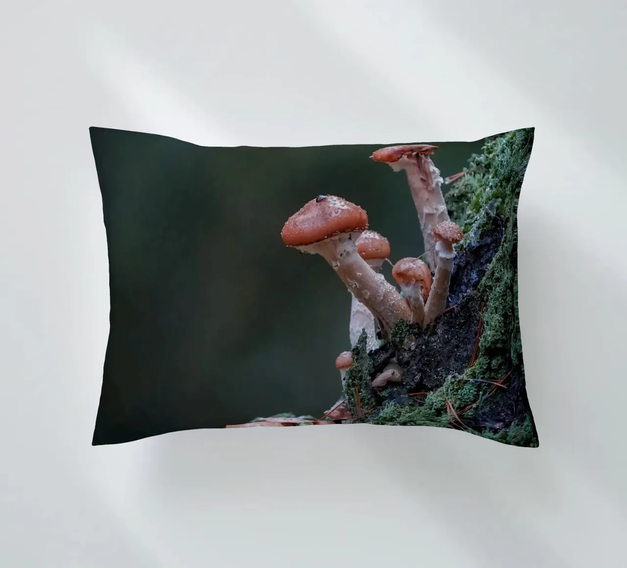 Funghi nella foresta cuscino da Tom's Wildlife