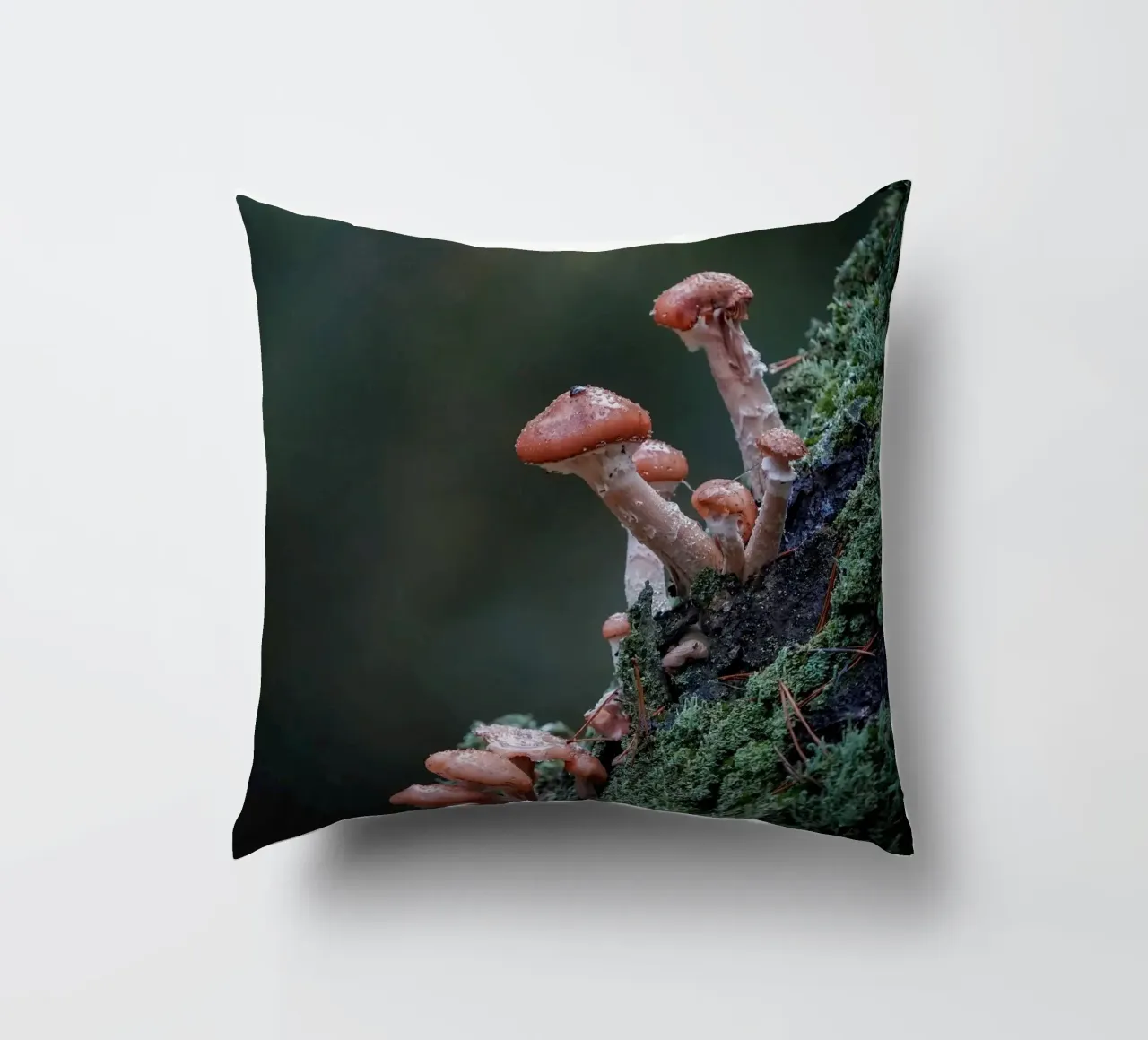 Funghi nella foresta cuscino da Tom's Wildlife