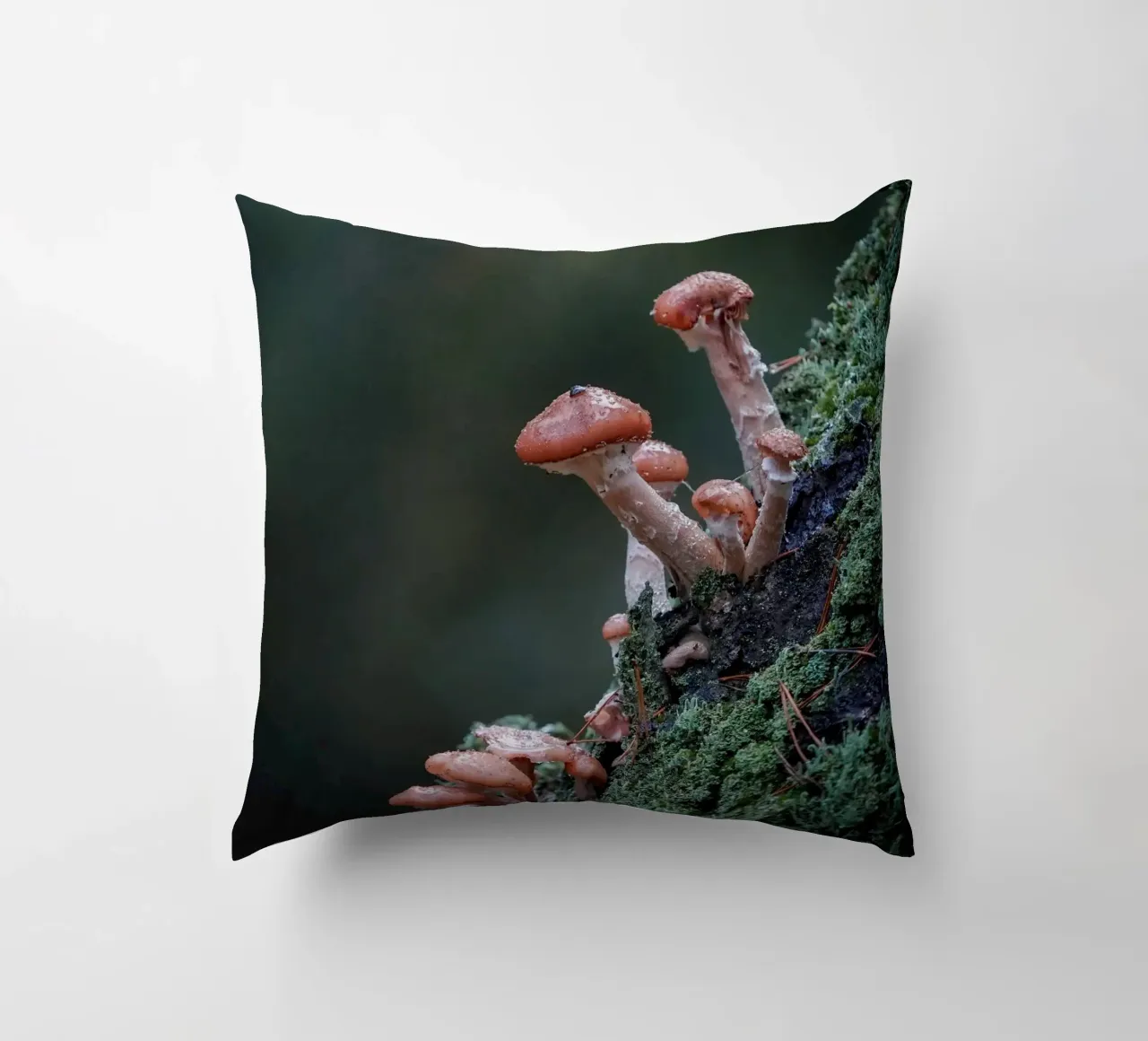 Funghi nella foresta cuscino da Tom's Wildlife