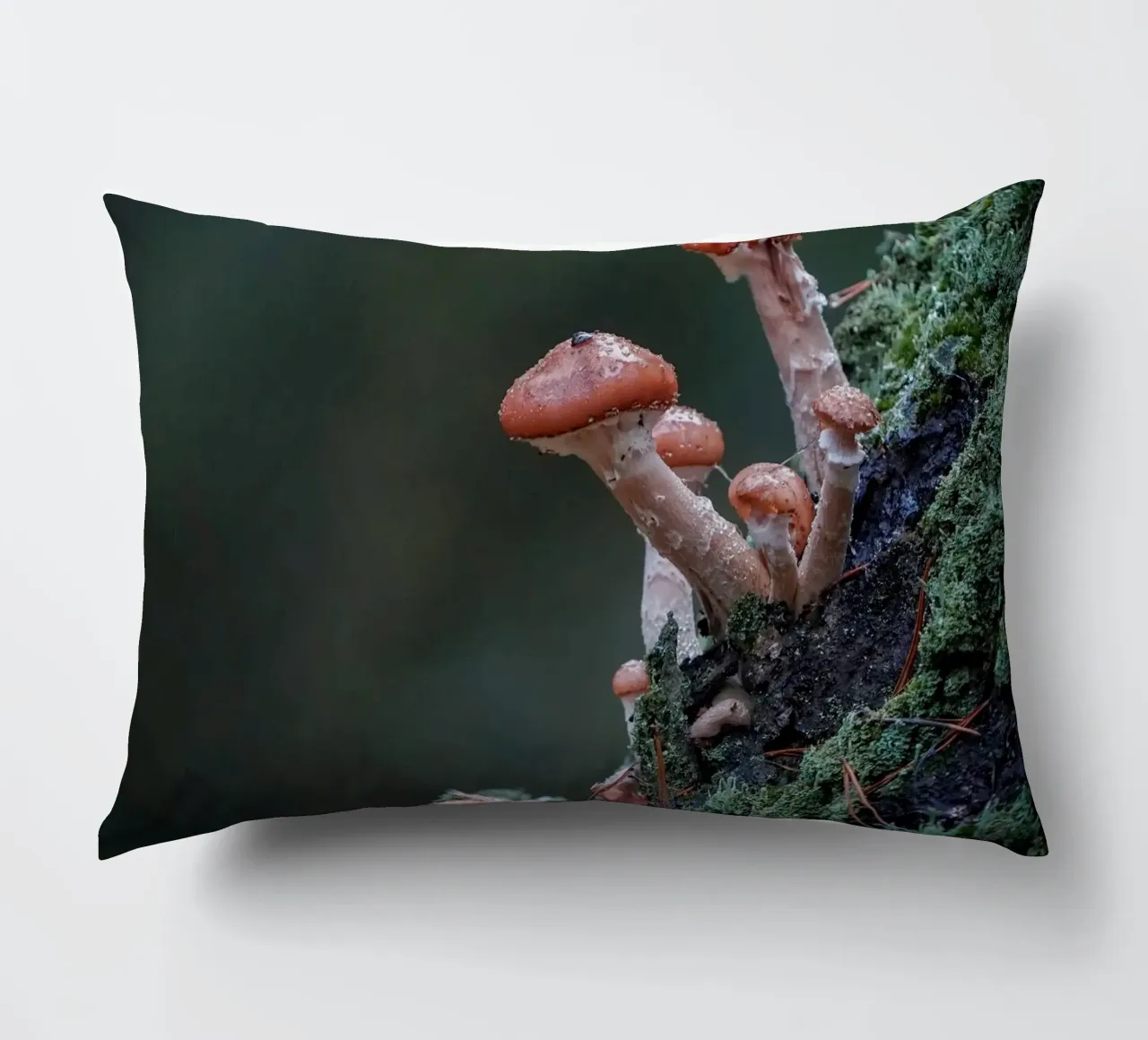 Funghi nella foresta cuscino da Tom's Wildlife