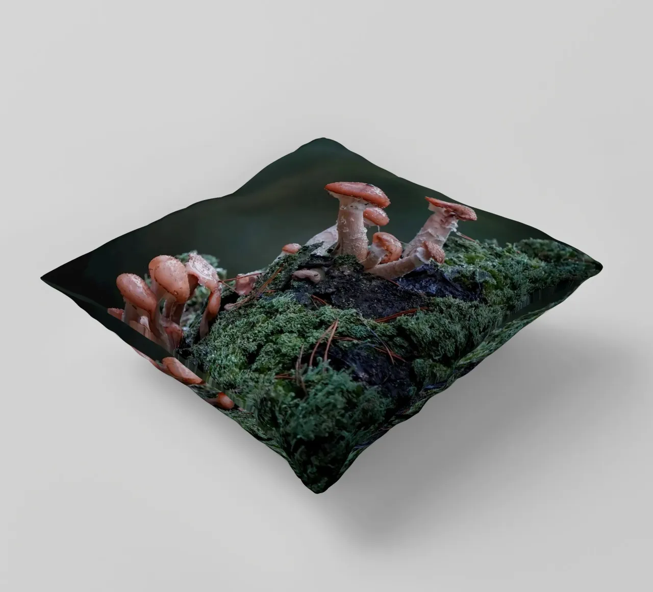 Funghi nella foresta cuscino da Tom's Wildlife