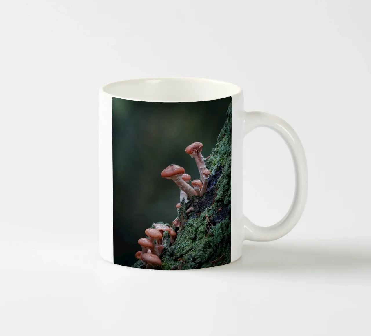 Funghi nella foresta tazza in ceramica da Tom's Wildlife