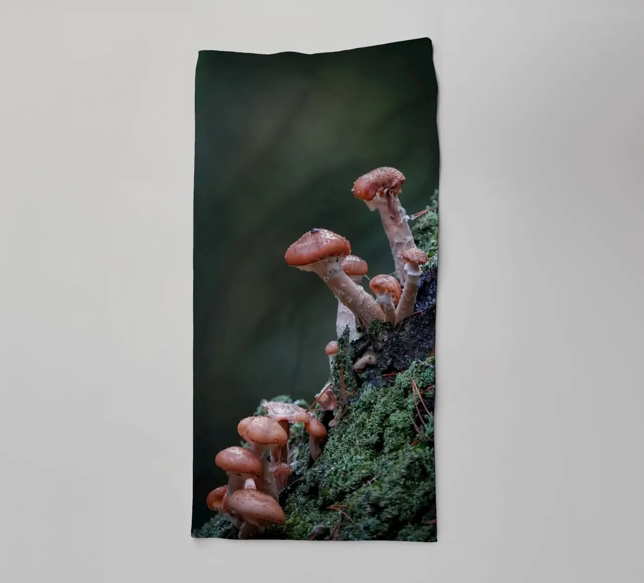Funghi nella foresta asciugamano da bagno da Tom's Wildlife