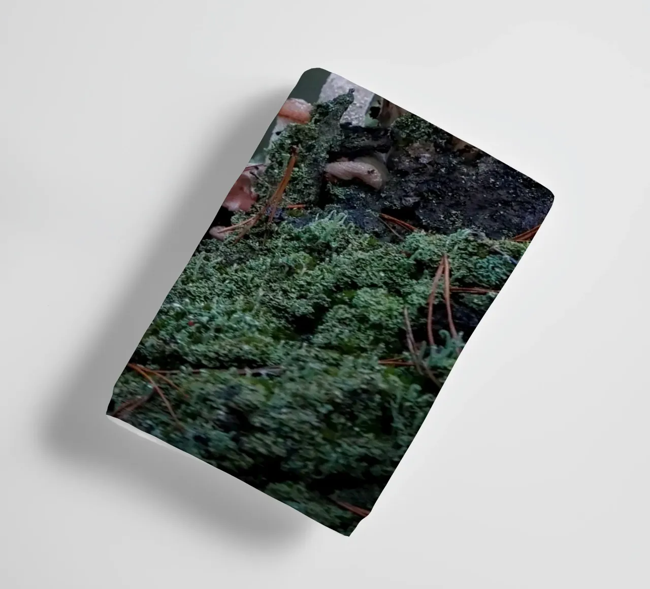 Funghi nella foresta asciugamano da bagno da Tom's Wildlife