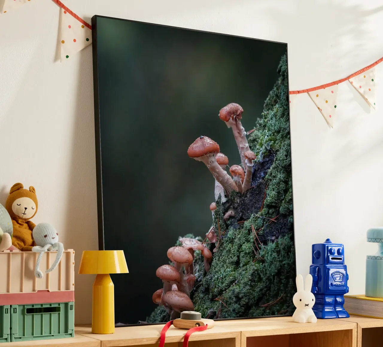 Funghi nella foresta pannello forex da Tom's Wildlife