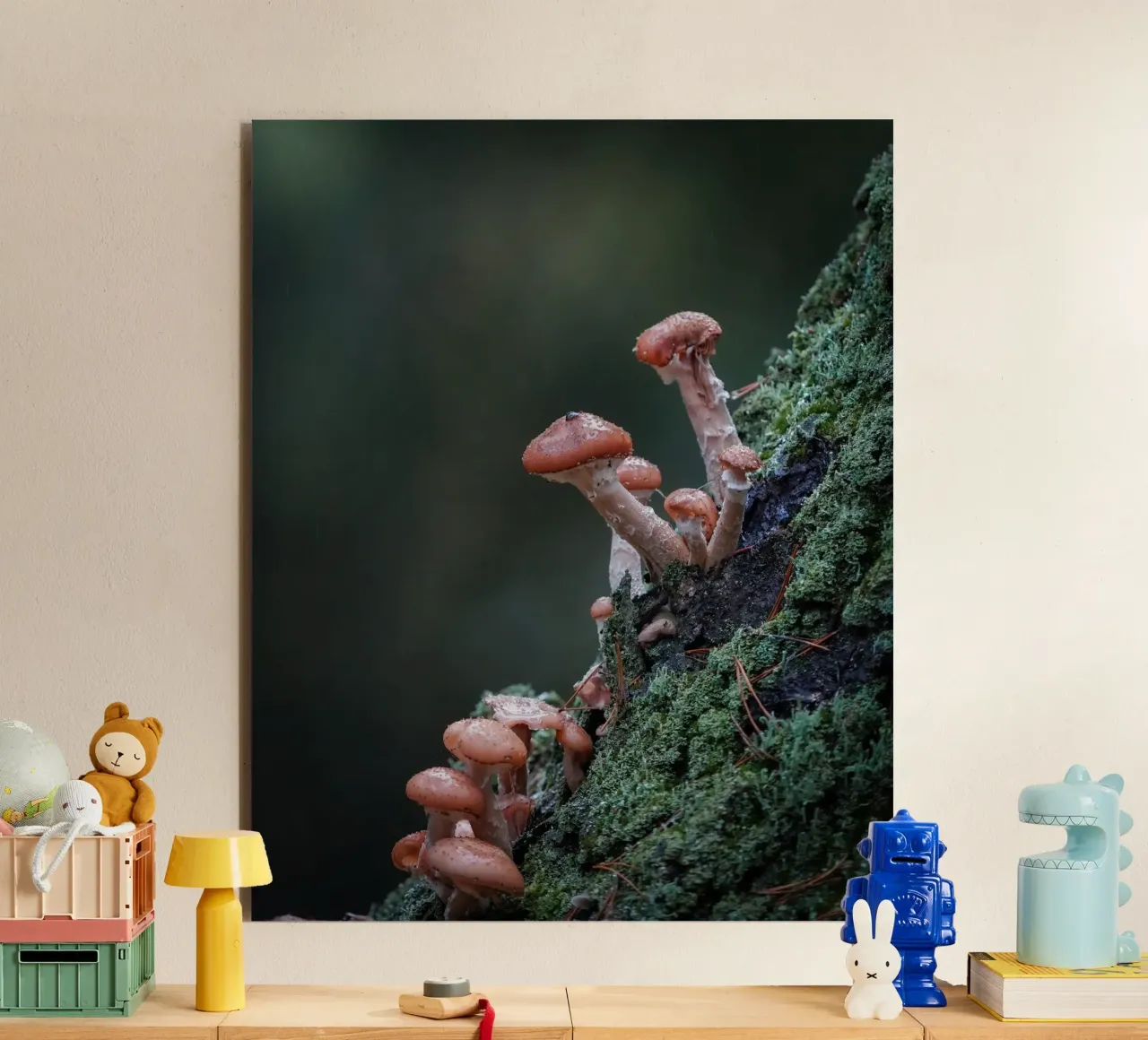 Funghi nella foresta pannello forex da Tom's Wildlife