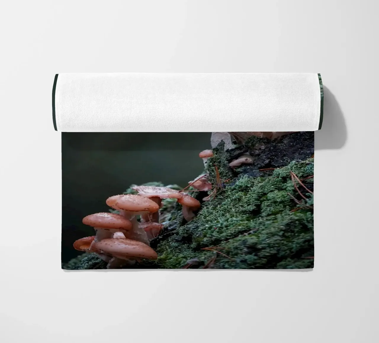 Funghi nella foresta telo mare da Tom's Wildlife