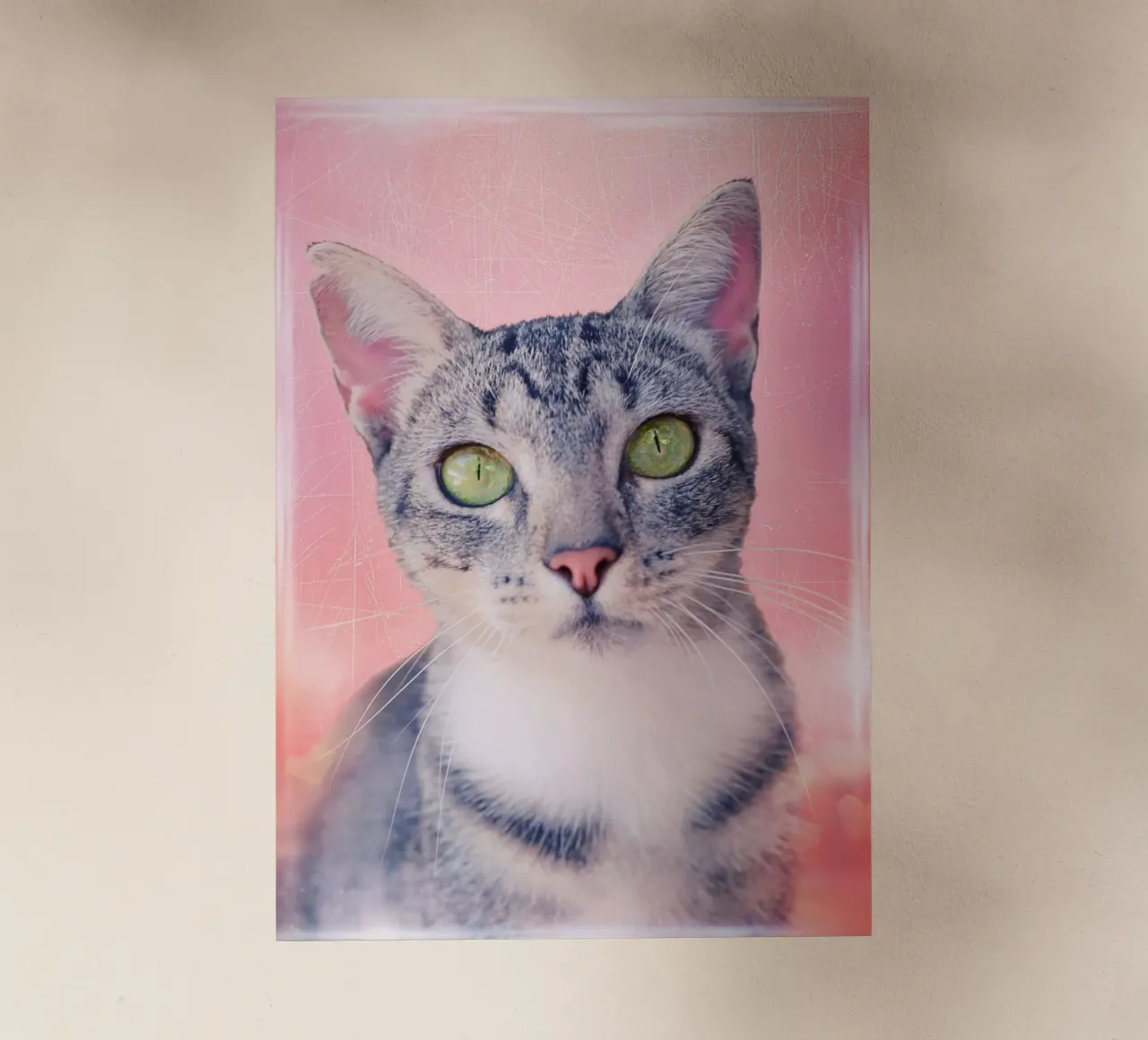 Gatto con occhi a mela verde pellicola backlit da Eva Nev Photography