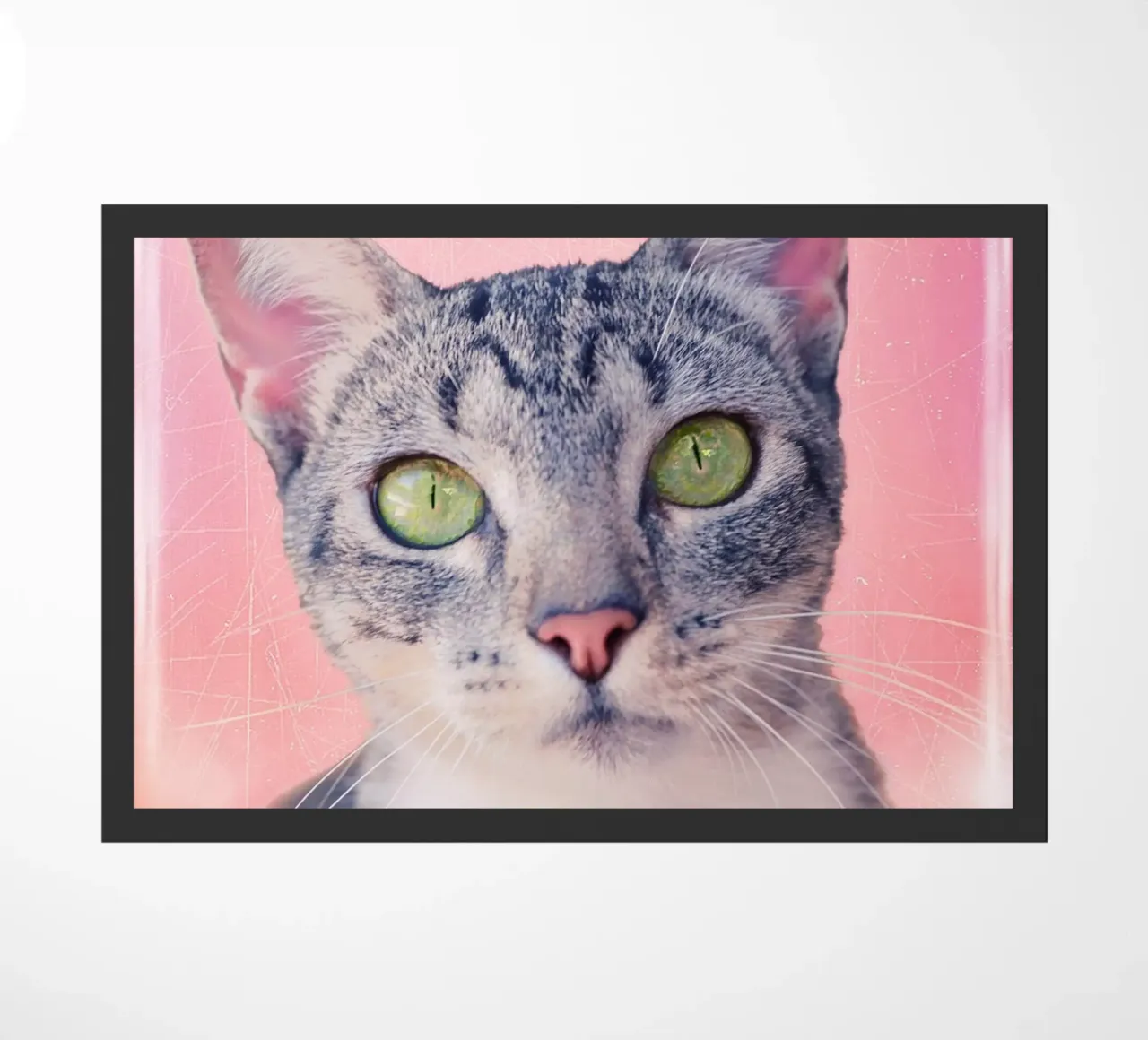 Gatto con occhi a mela verde zerbino da Eva Nev Photography