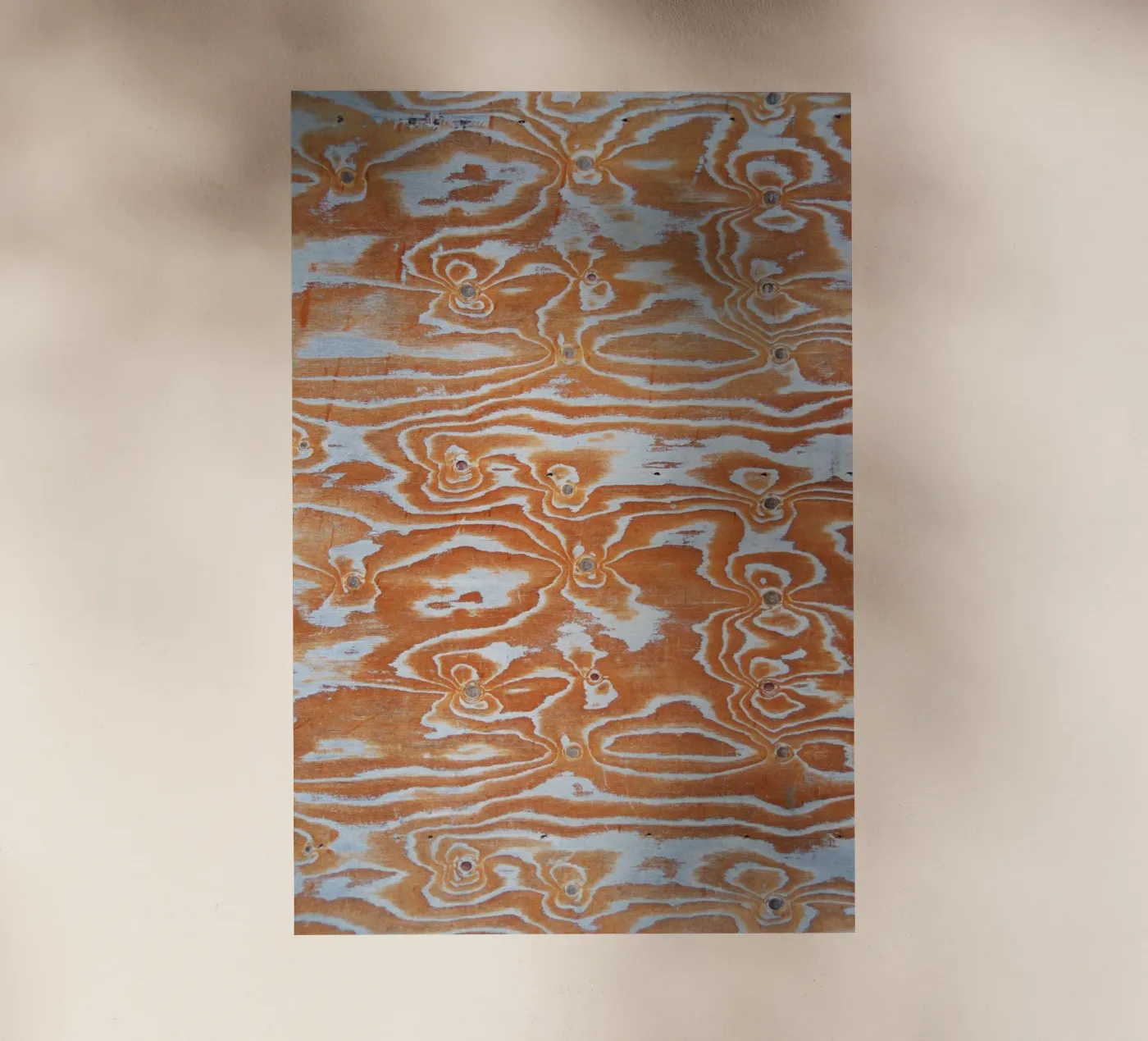 Wood pattern pellicola backlit da Fjöllart