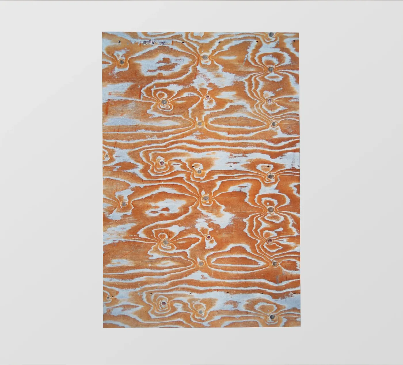 Wood pattern pellicola backlit da Fjöllart