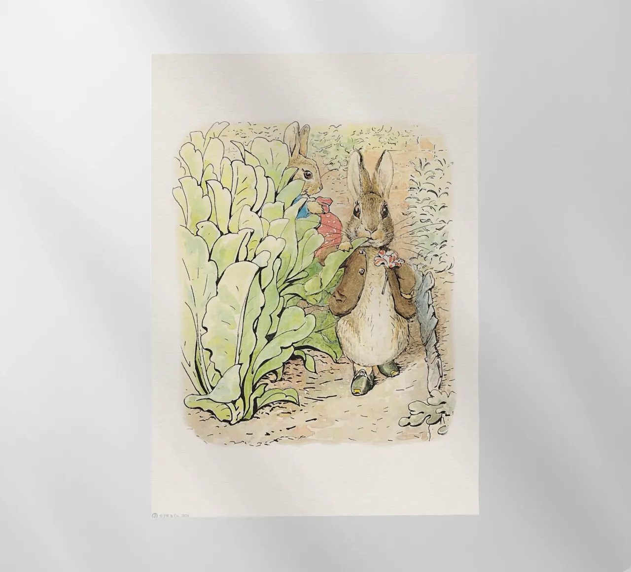 Peter Rabbit y sus amigos nº 2 lámina retroiluminada de Panait Ivascu