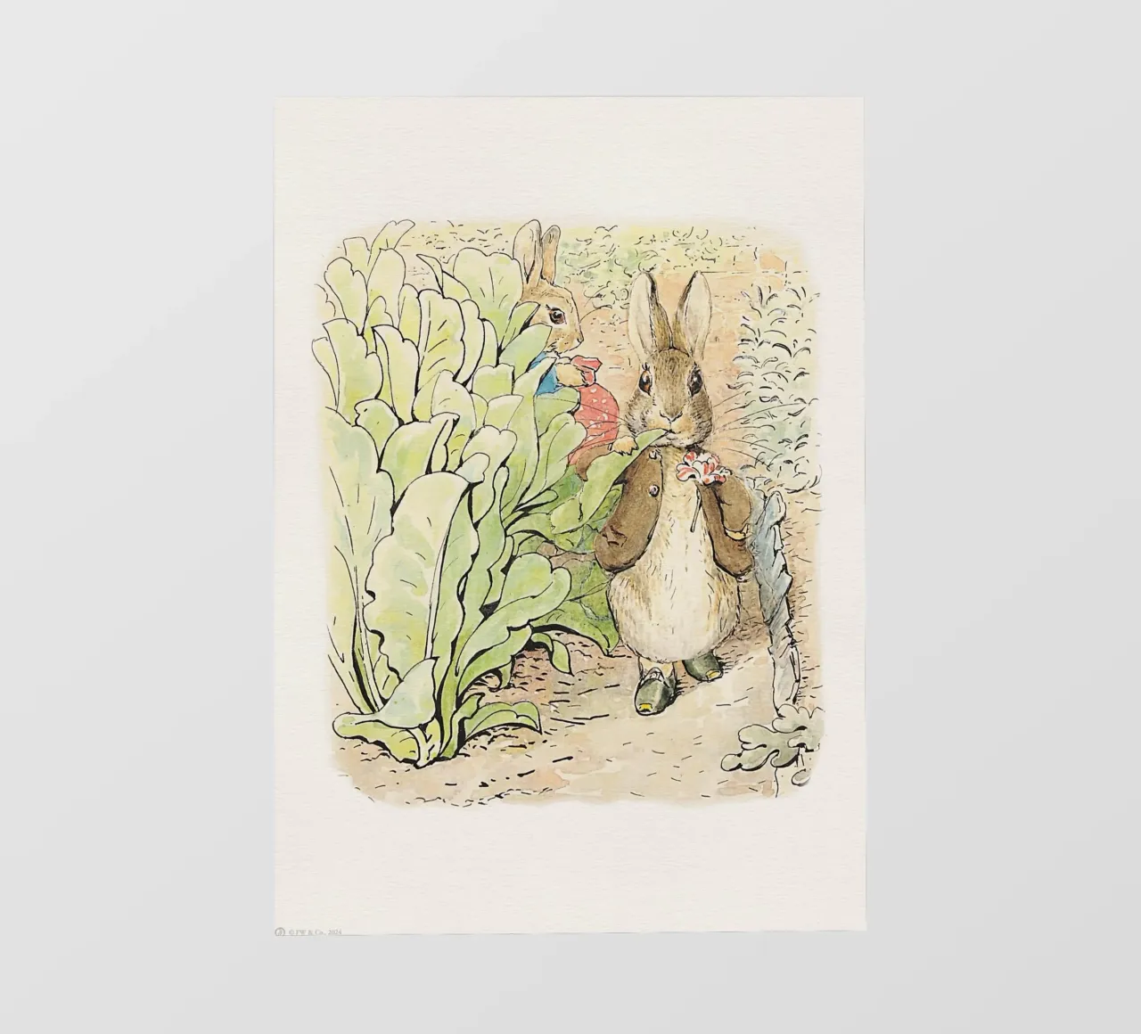 Peter Rabbit y sus amigos nº 2 lámina retroiluminada de Panait Ivascu