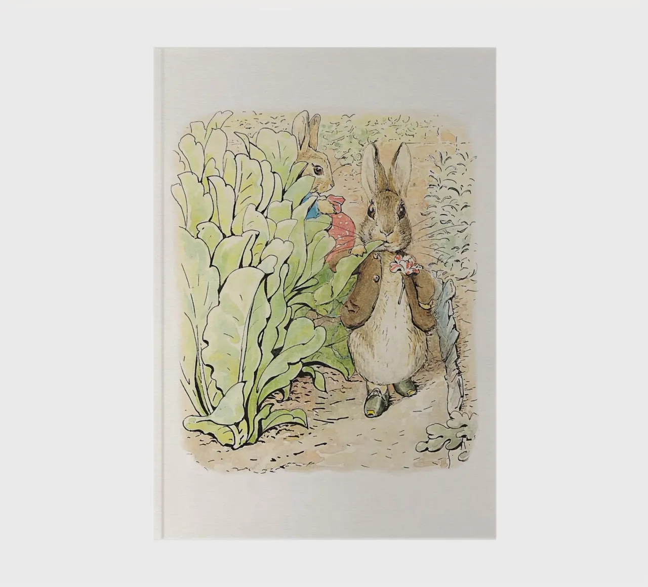 Peter Rabbit e i suoi amici n. 2 diario da Panait Ivascu