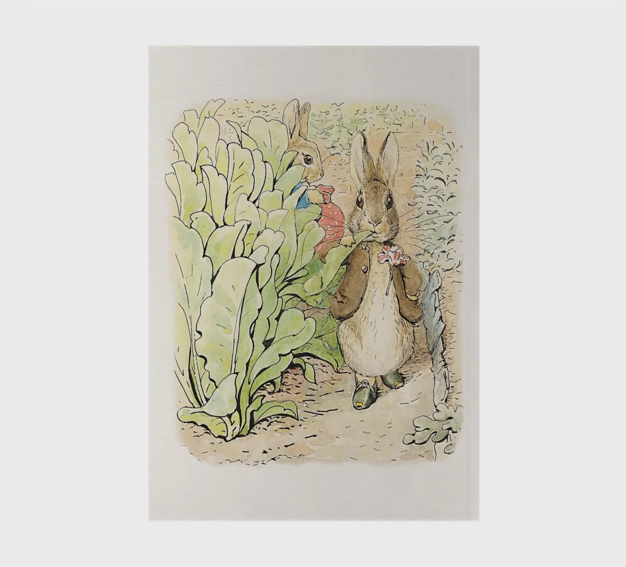 Peter Rabbit et ses amis No2 carnet de notes de Panait Ivascu