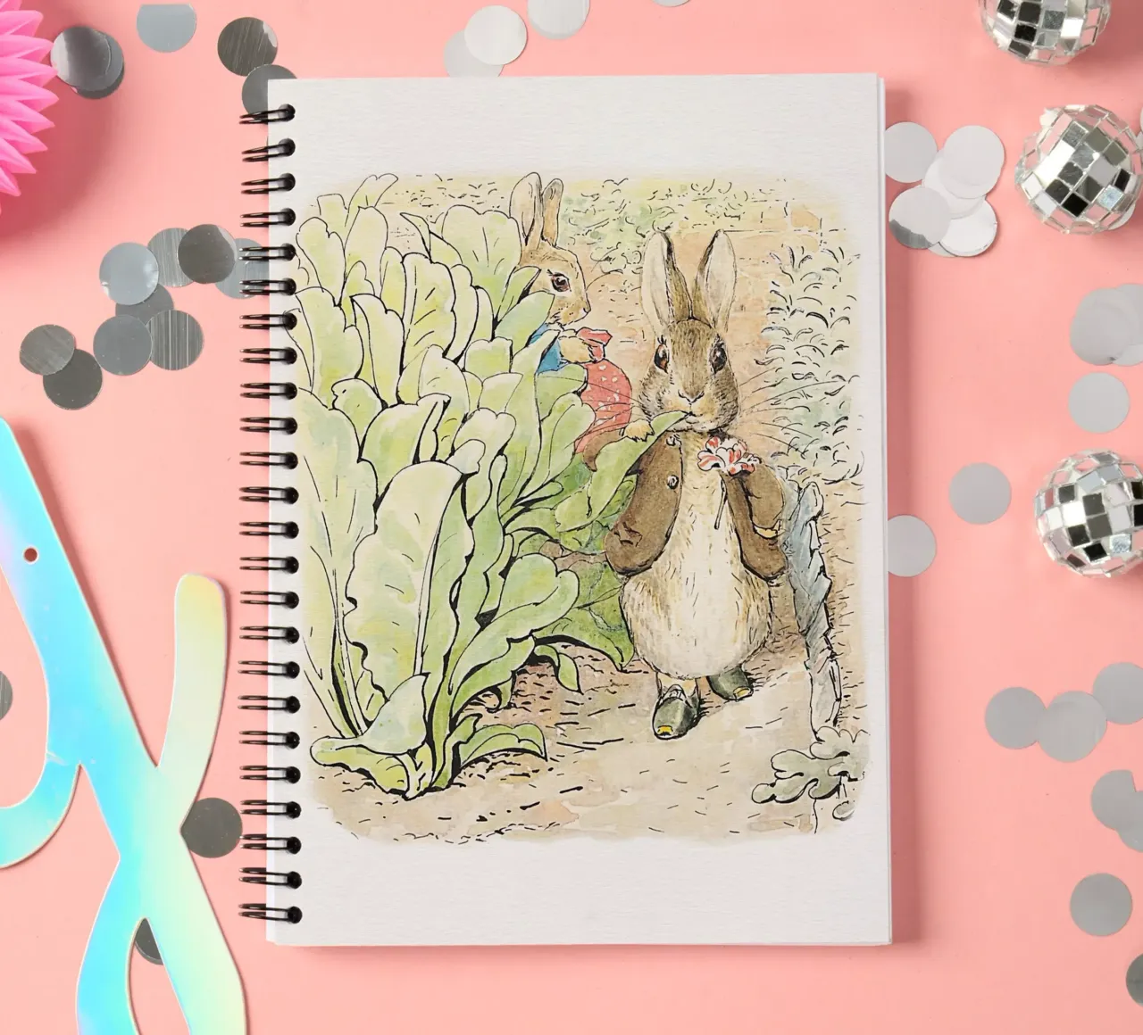 Peter Rabbit e i suoi amici n. 2 diario ad anelli da Panait Ivascu