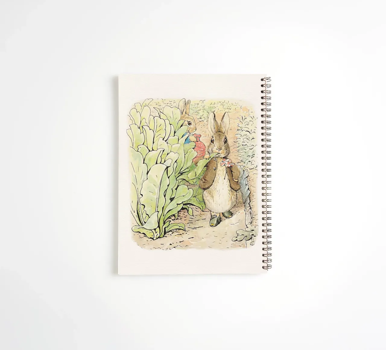 Peter Rabbit e i suoi amici n. 2 diario ad anelli da Panait Ivascu