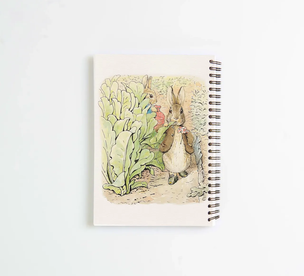Peter Rabbit e i suoi amici n. 2 diario ad anelli da Panait Ivascu