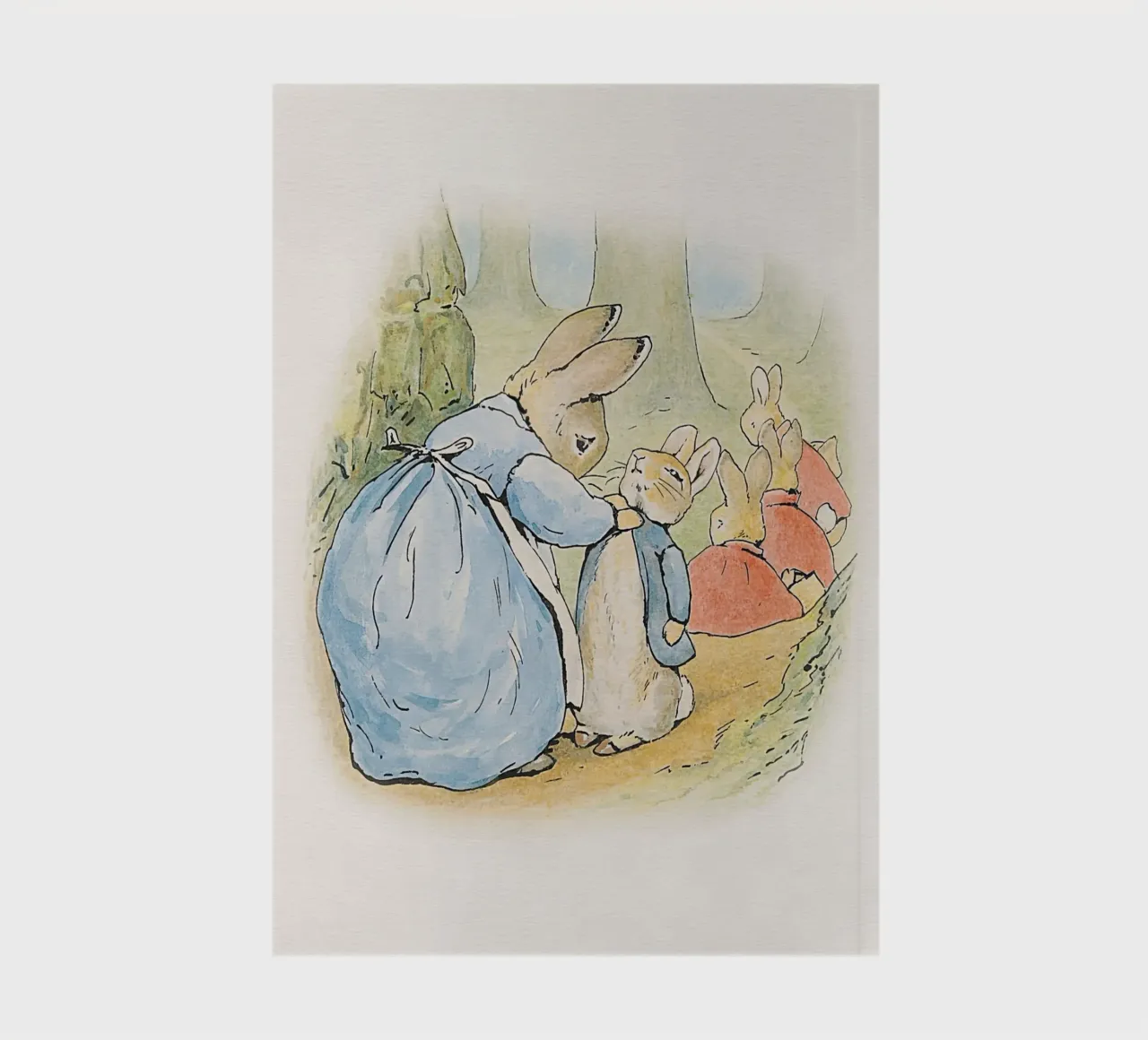 Peter Rabbit e i suoi amici n. 3 diario da Panait Ivascu