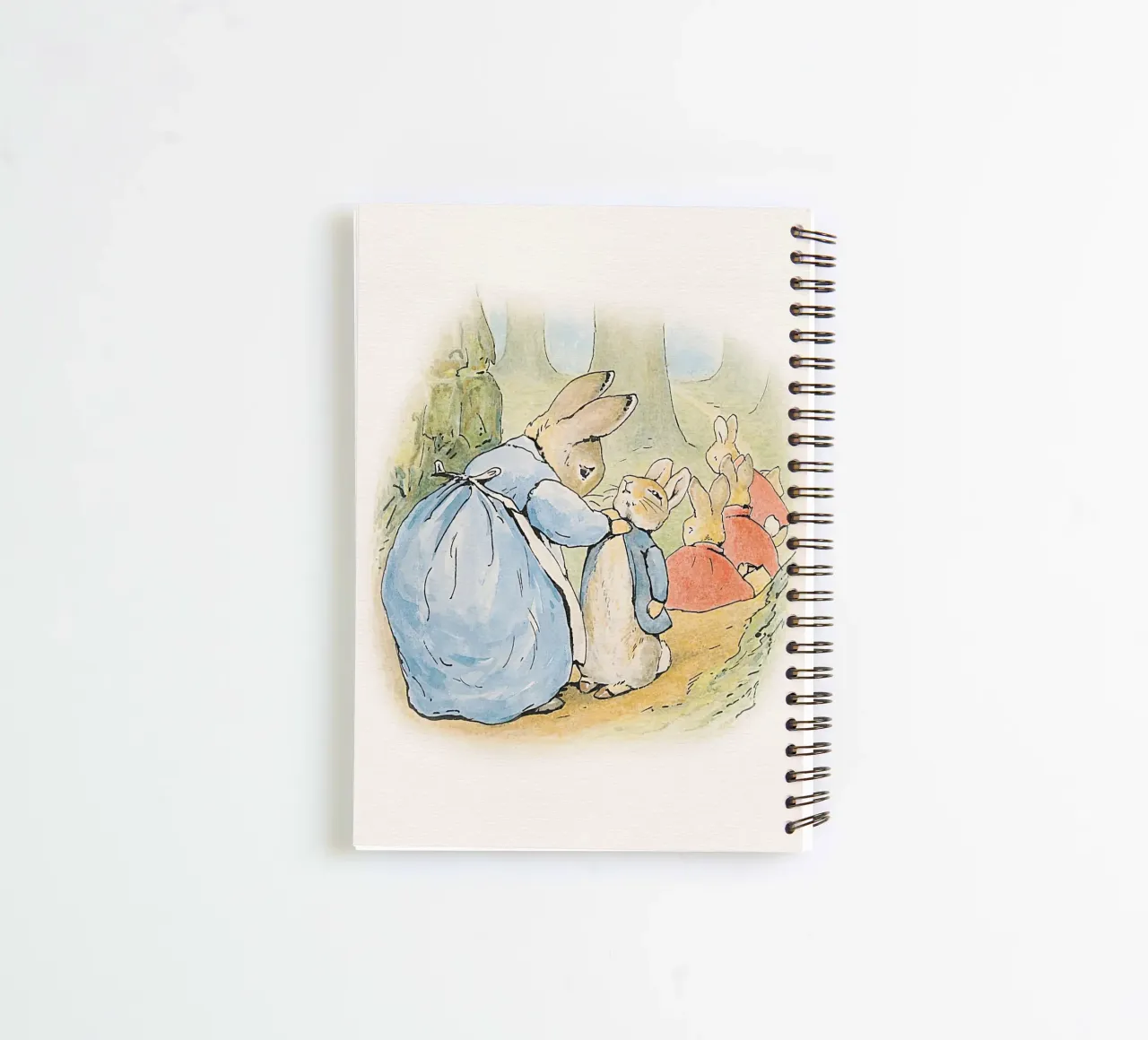 Peter Rabbit and Friends No3 spiral notebook by Panait Ivascu