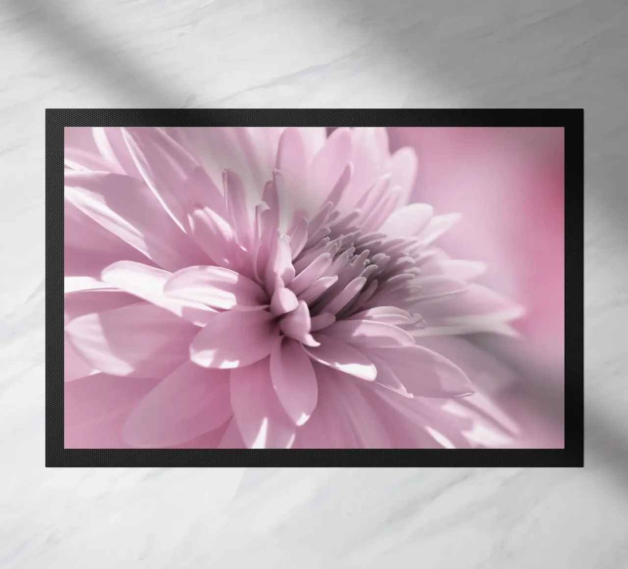 Dalia zerbino da Atteloi