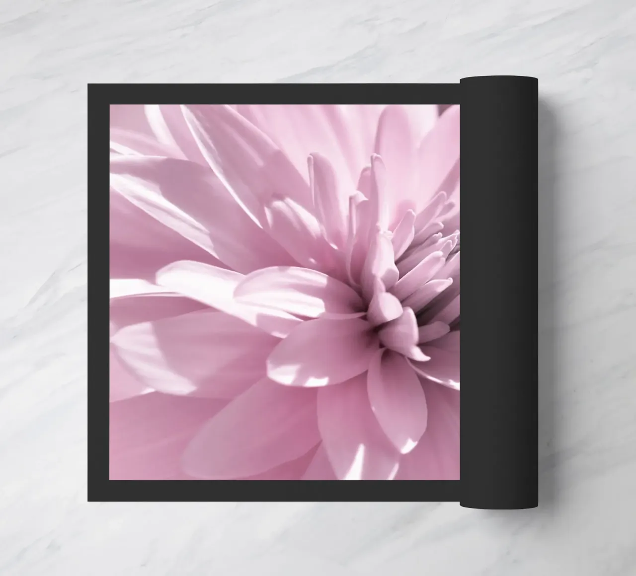 Dalia zerbino da Atteloi