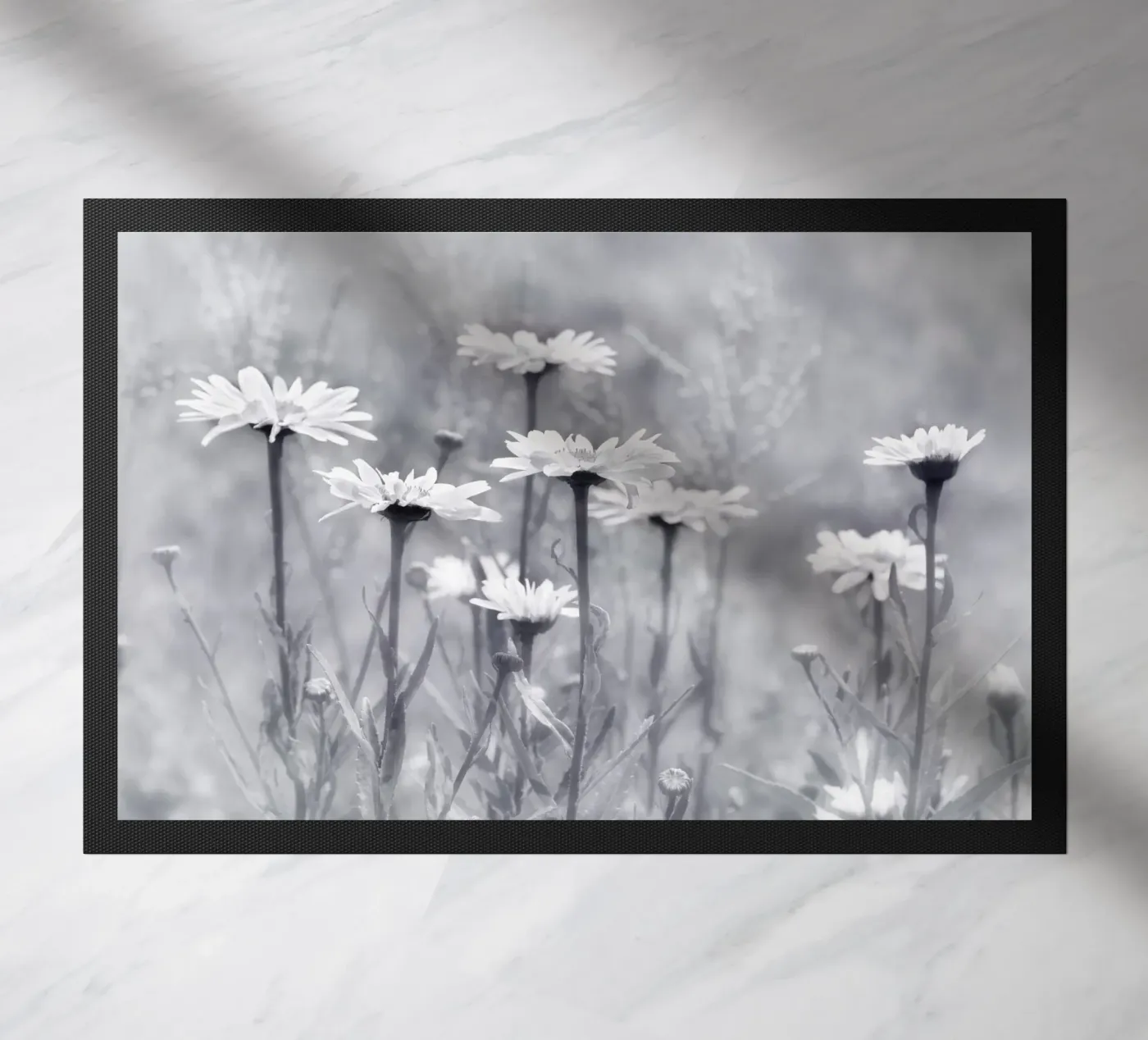 Daisies zerbino da Atteloi
