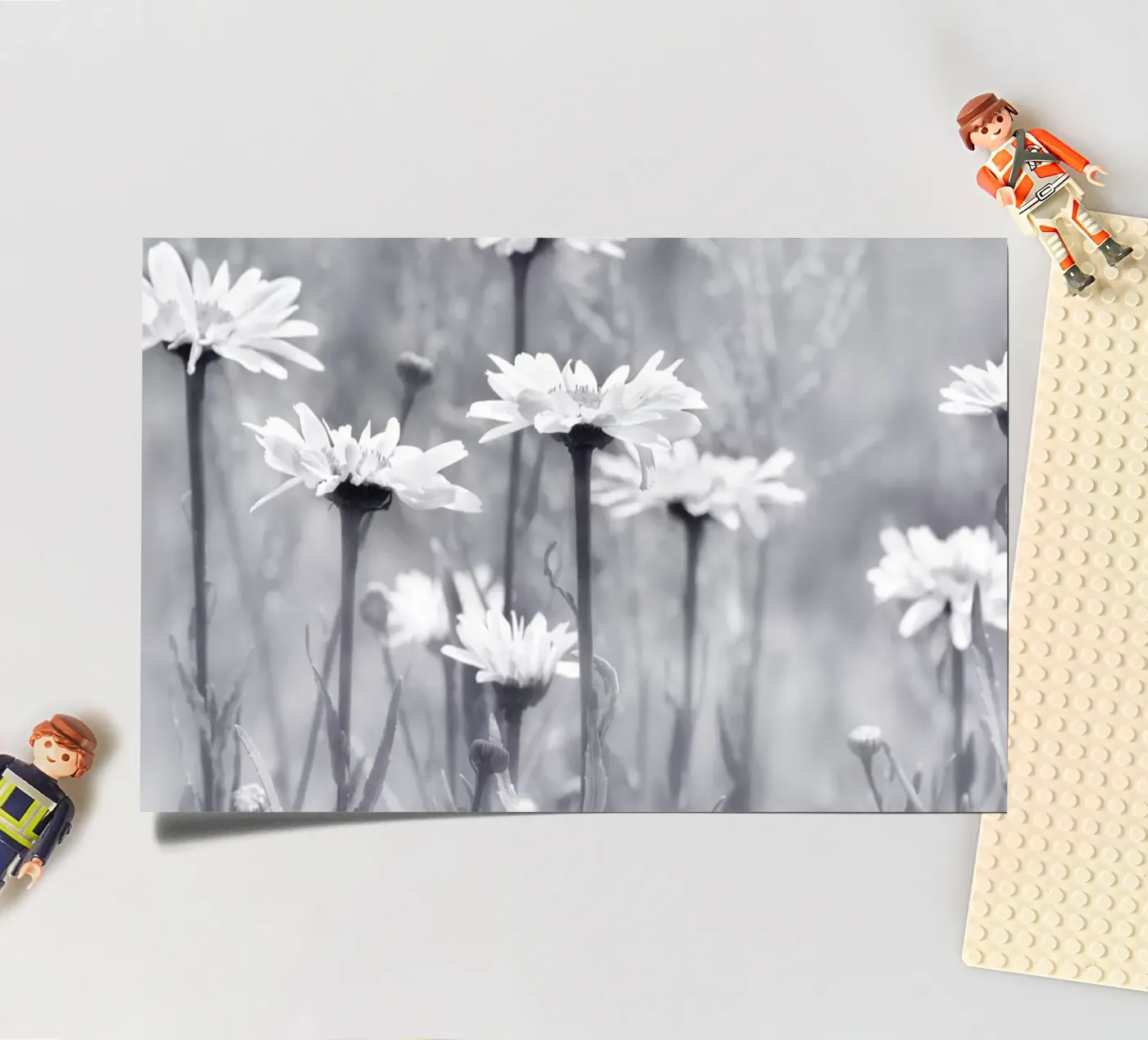 Daisies sticker sheet by Atteloi