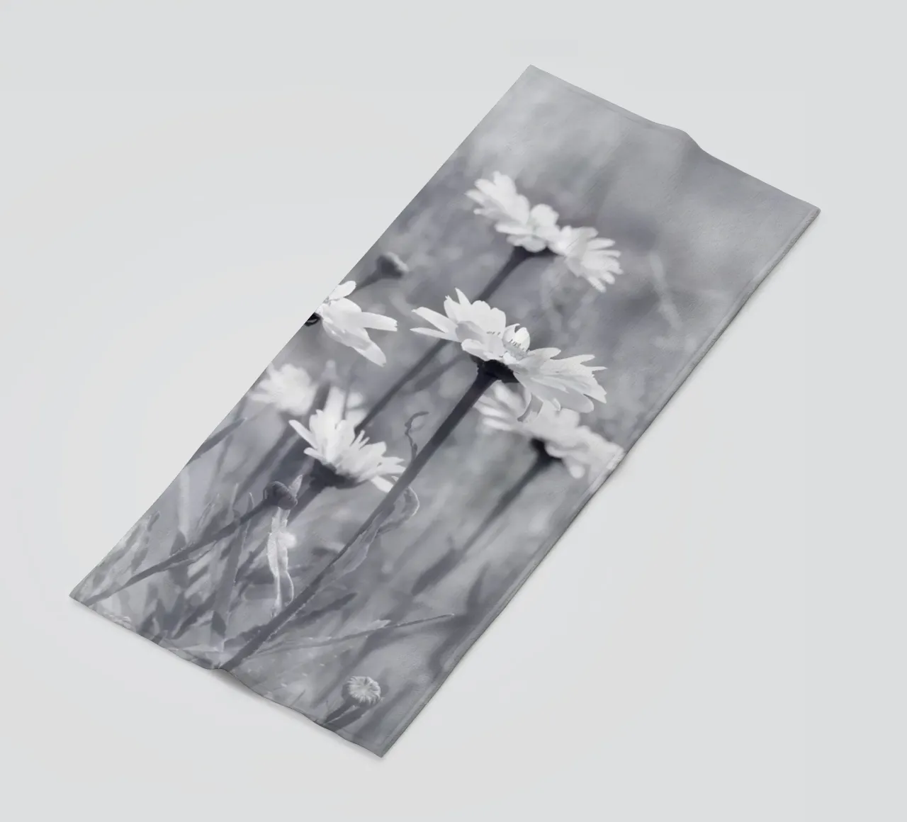 Margherite telo mare da Atteloi