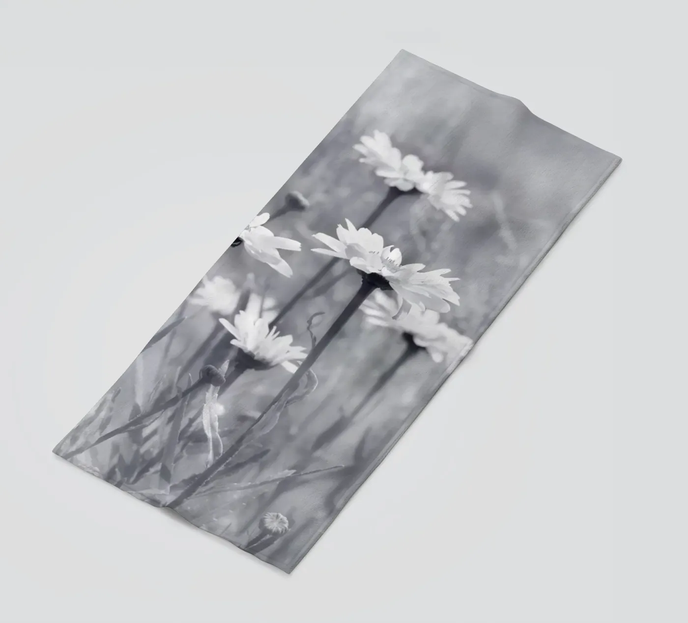 Margherite telo mare da Atteloi