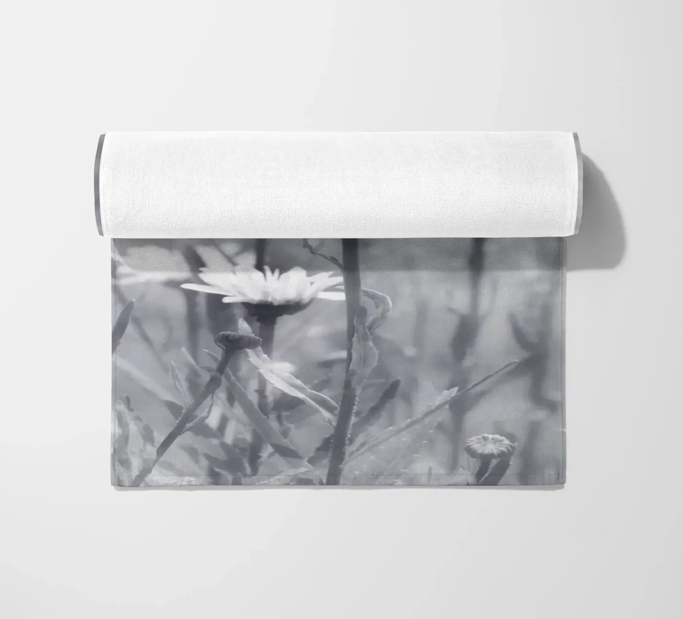 Margherite telo mare da Atteloi