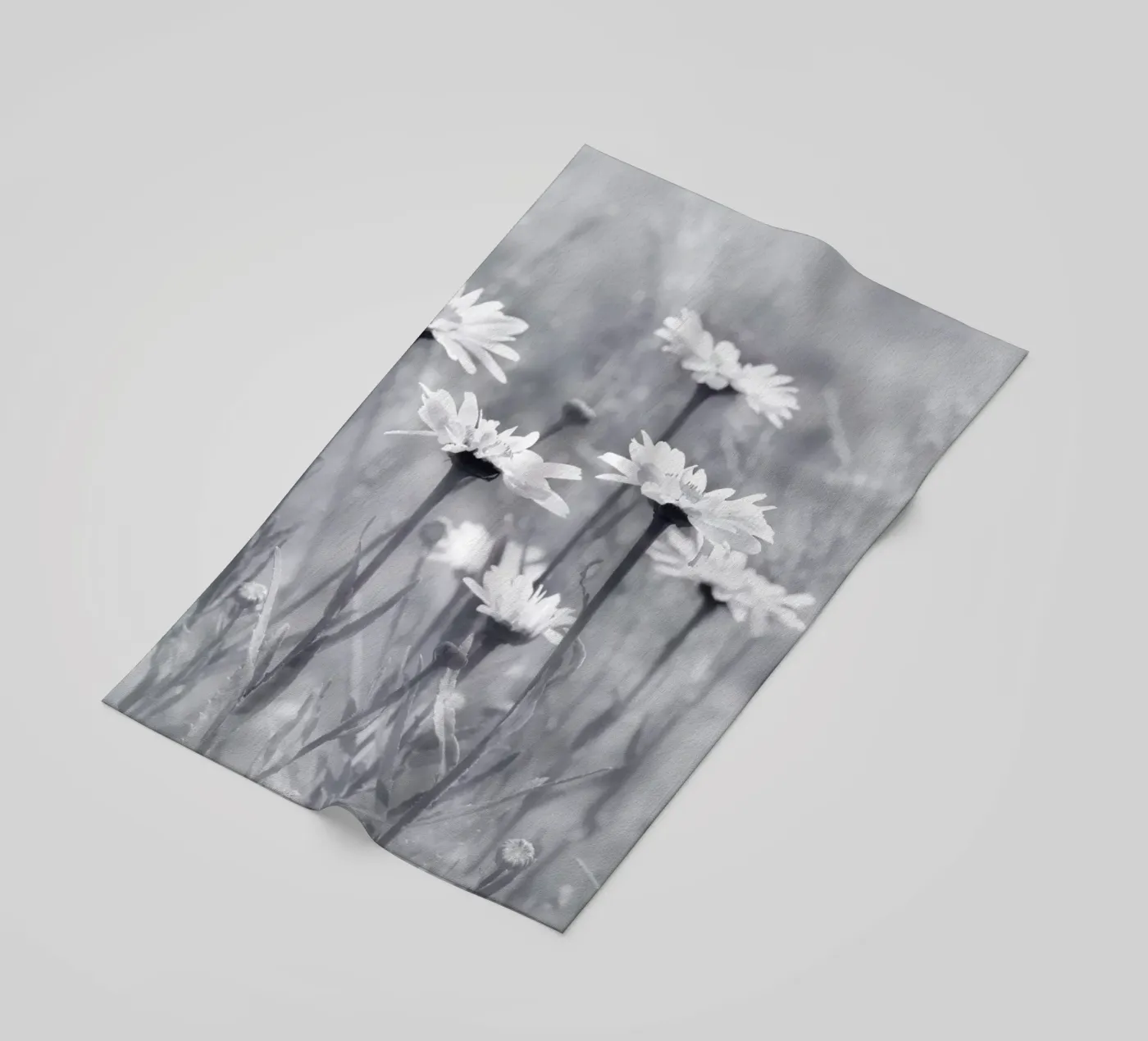 Margherite telo mare da Atteloi