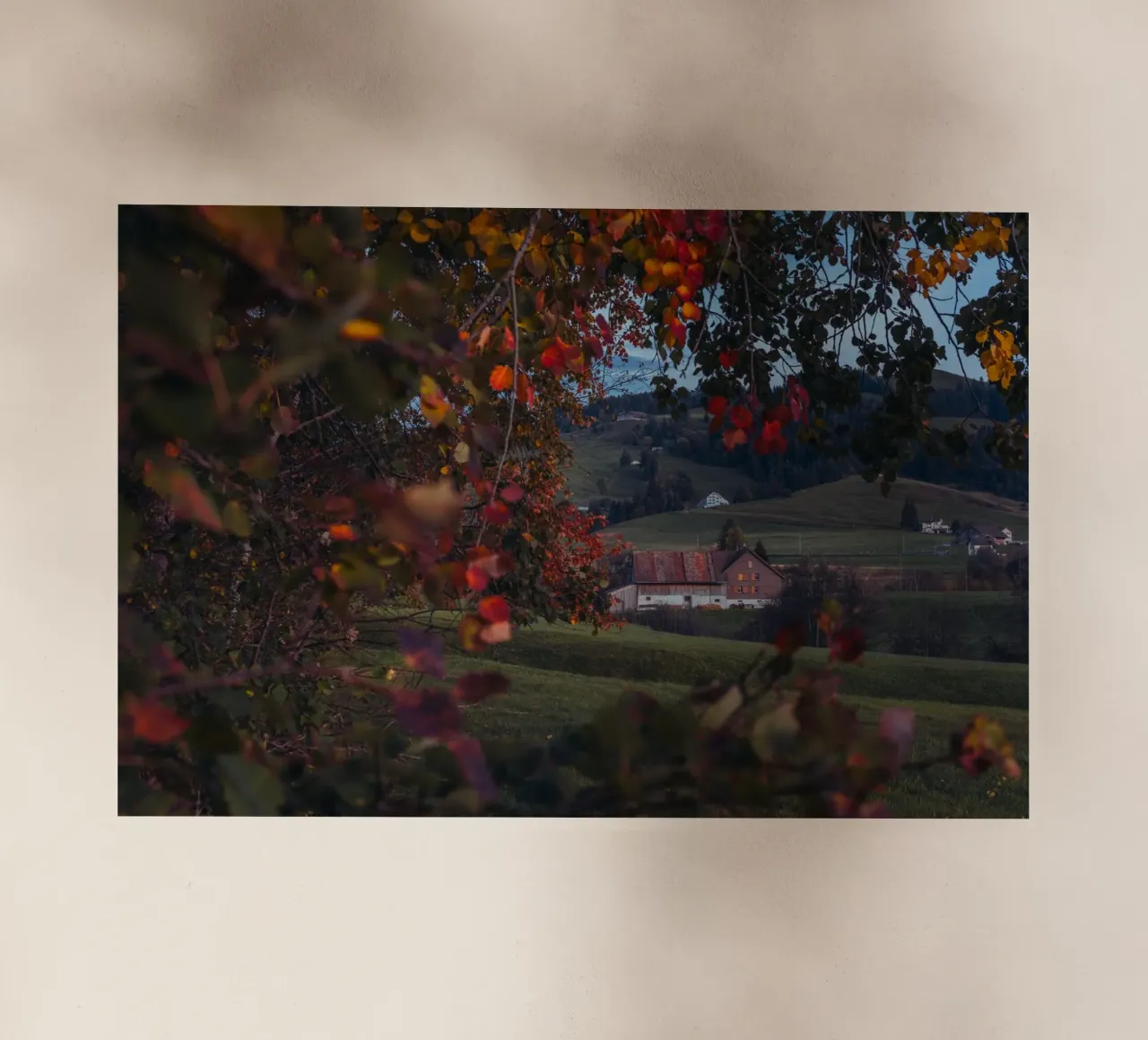 Herbstscheune in der Schweiz Backlit Folie von mbgraphx2