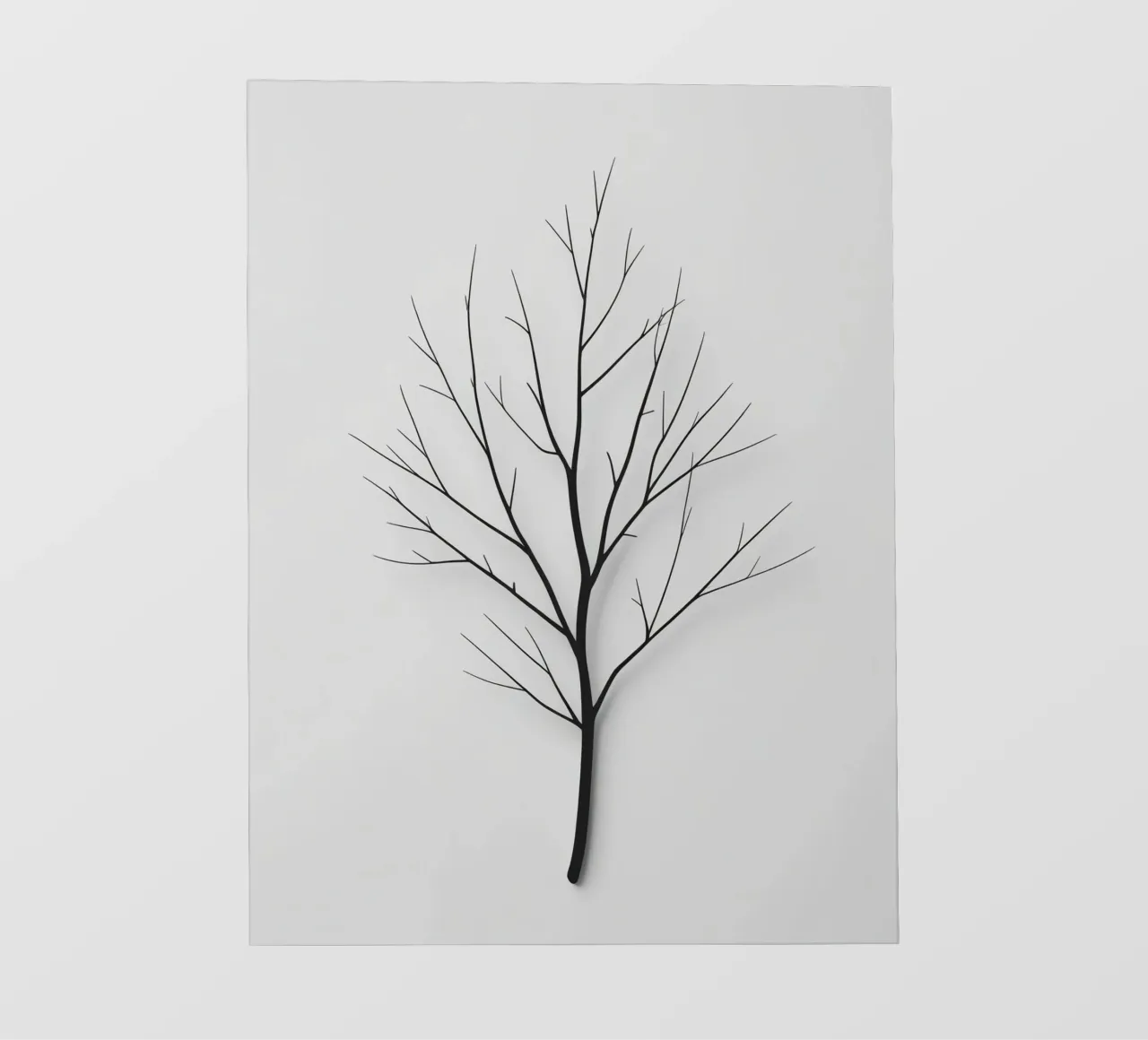 Bare Branch pellicola backlit da Botanical Gallery