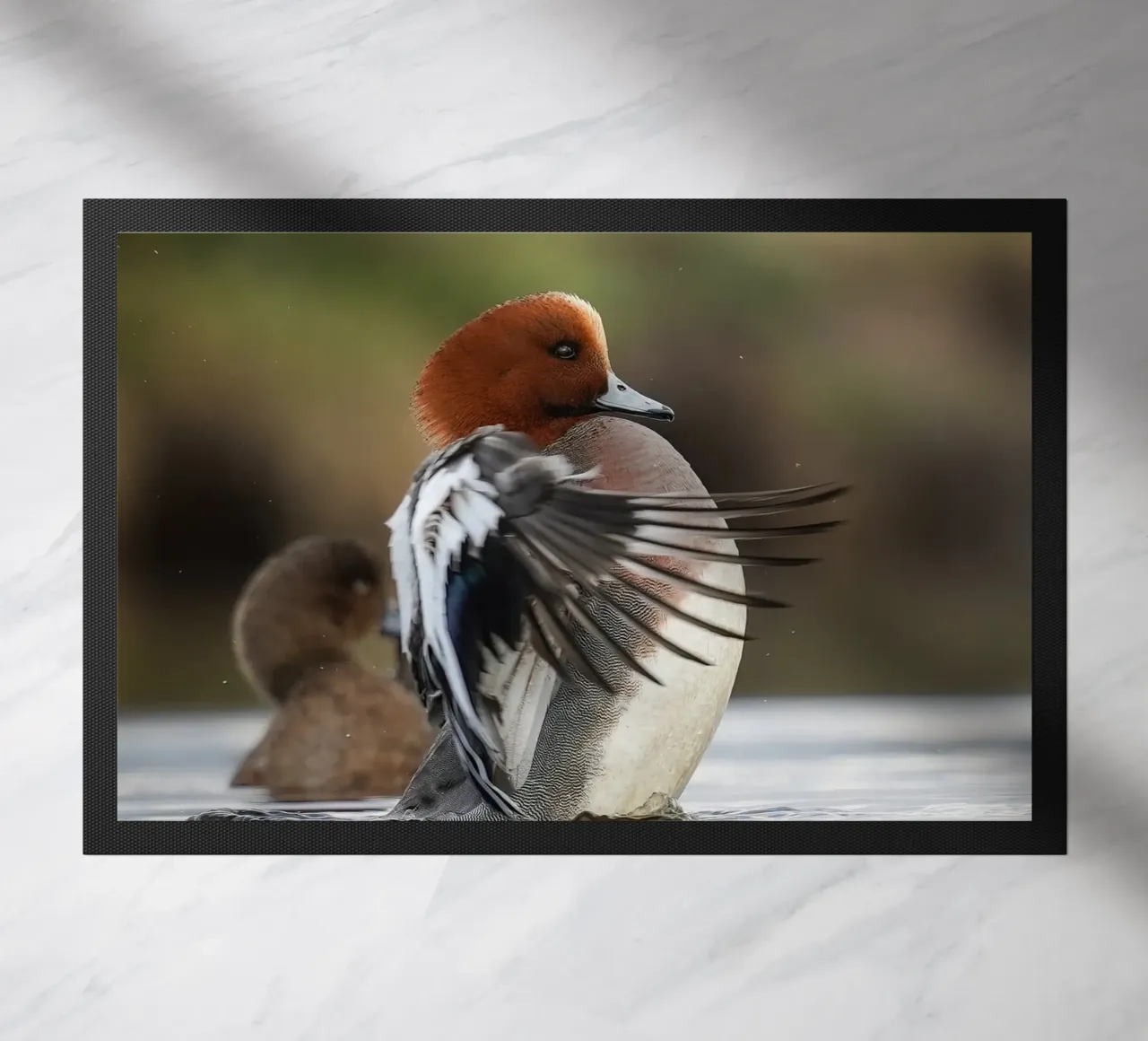 Smient deurmat van Tom's Wildlife