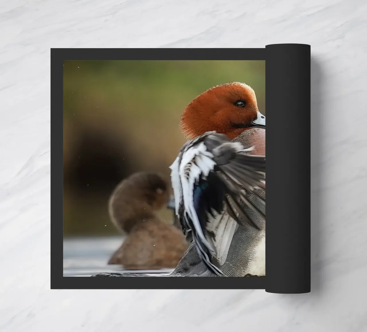 Smient deurmat van Tom's Wildlife