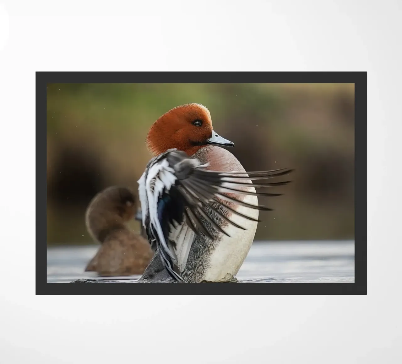 Smient deurmat van Tom's Wildlife