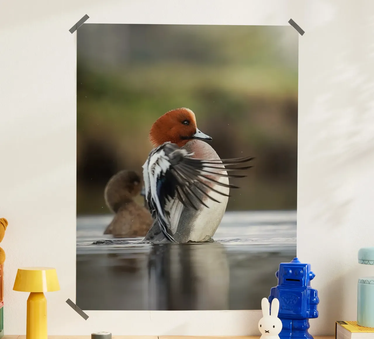 Smient poster van Tom's Wildlife