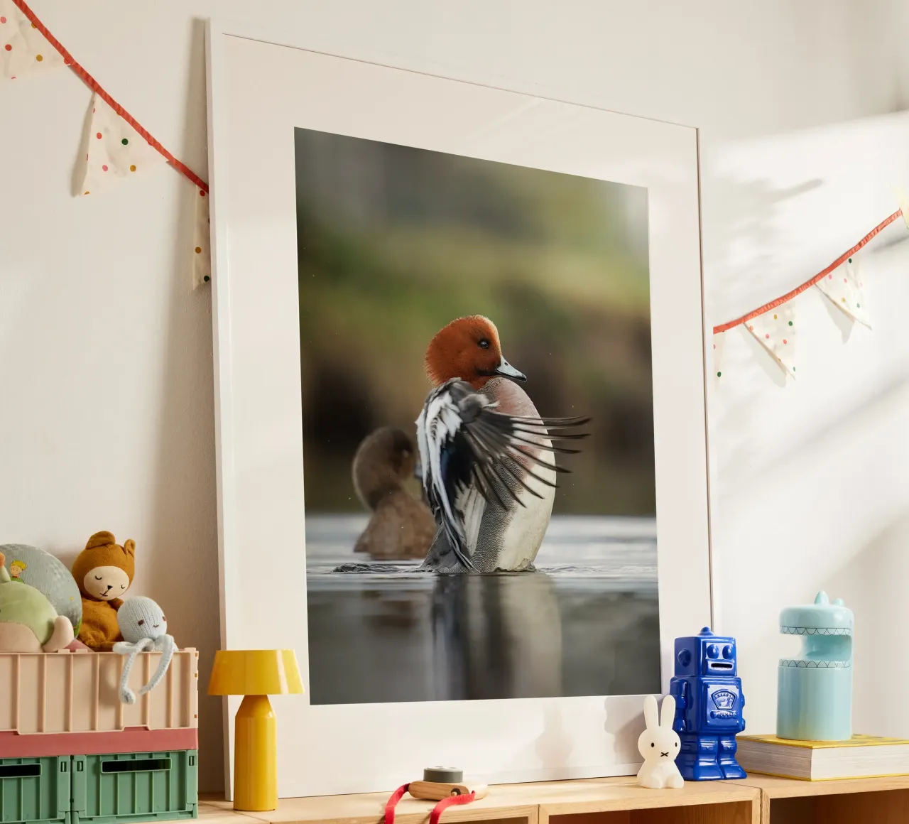 Smient poster van Tom's Wildlife