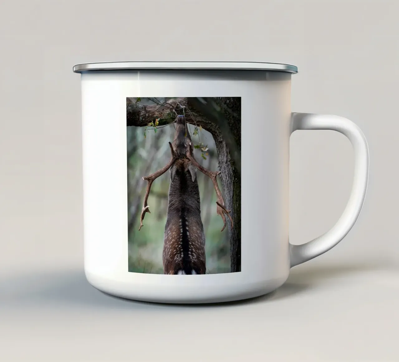 Il daino in fregola tazza in smalto da Tom's Wildlife