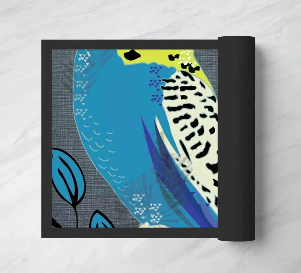 Budgie zerbino da Rocket68