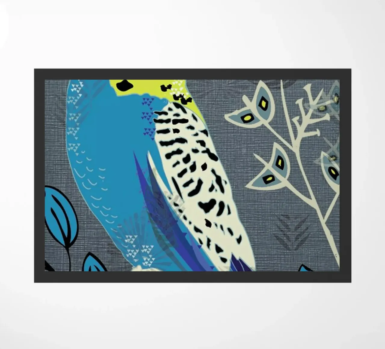 Budgie zerbino da Rocket68