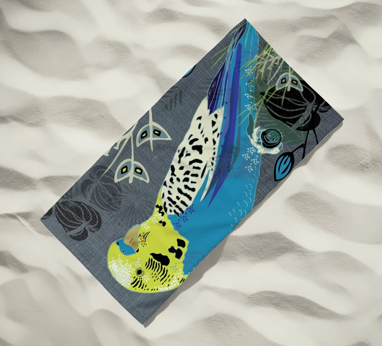 Budgie telo mare da Rocket68