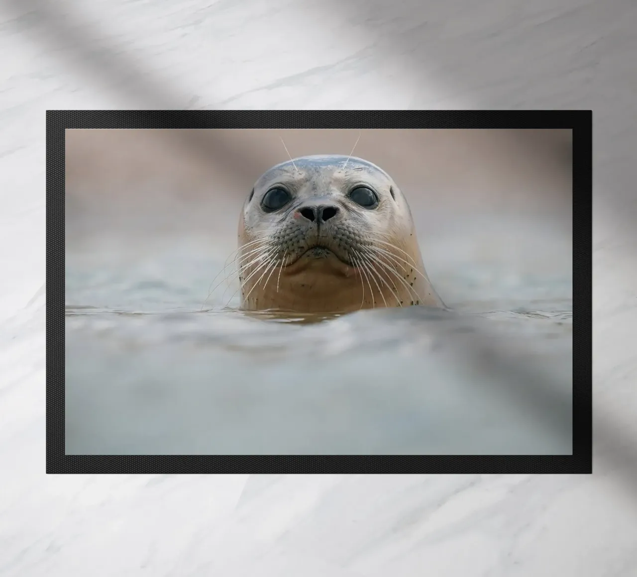 Sigillo zerbino da Tom's Wildlife