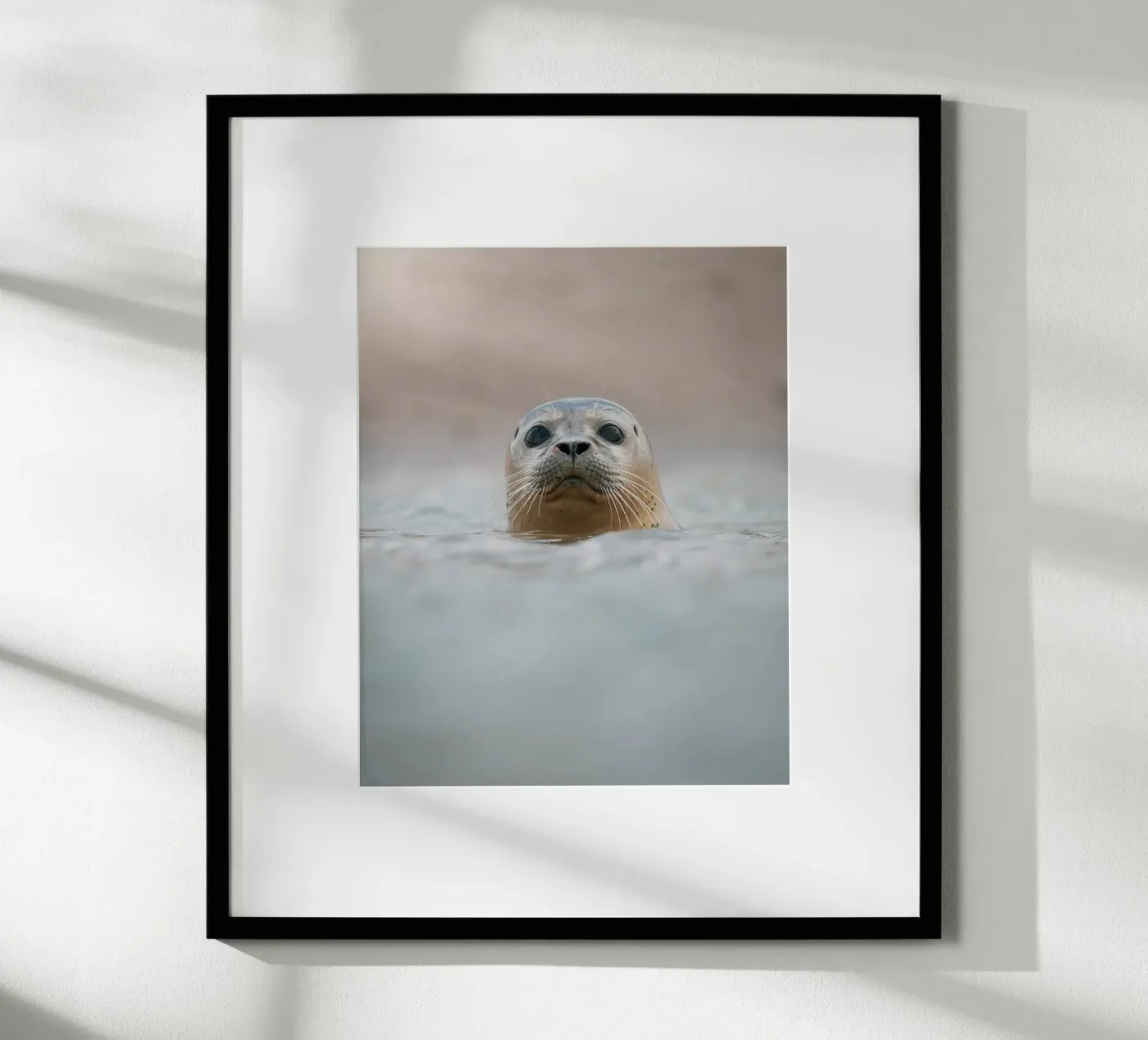 Afdichting poster van Tom's Wildlife