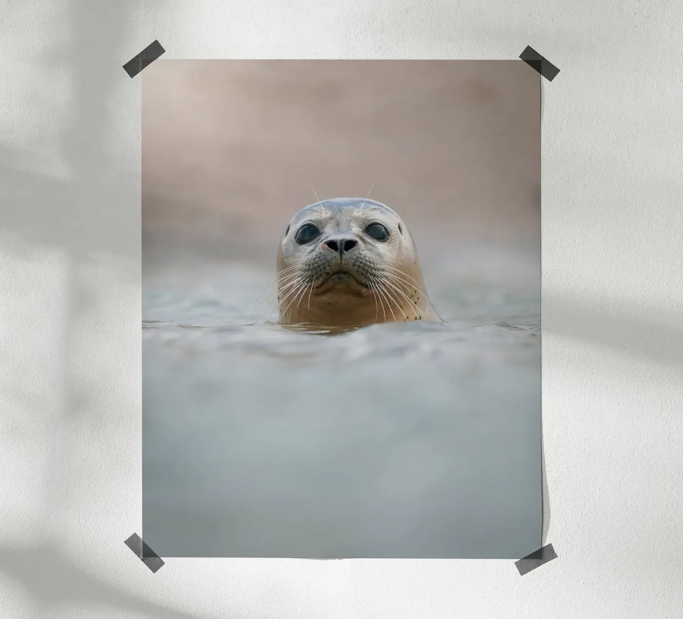 Afdichting poster van Tom's Wildlife