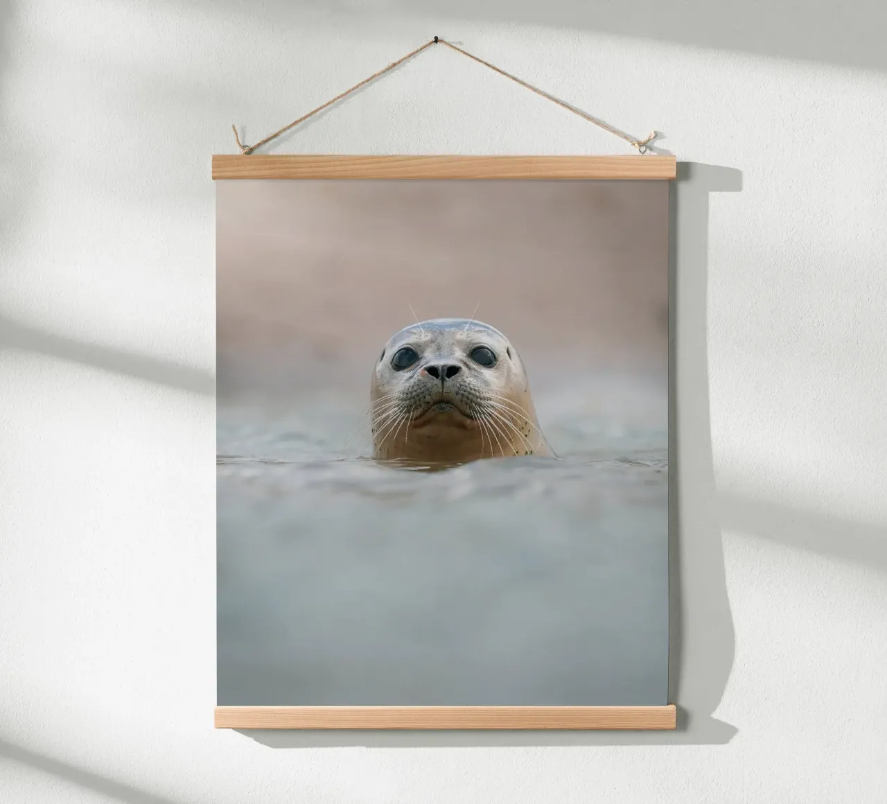 Seal poster da Tom's Wildlife