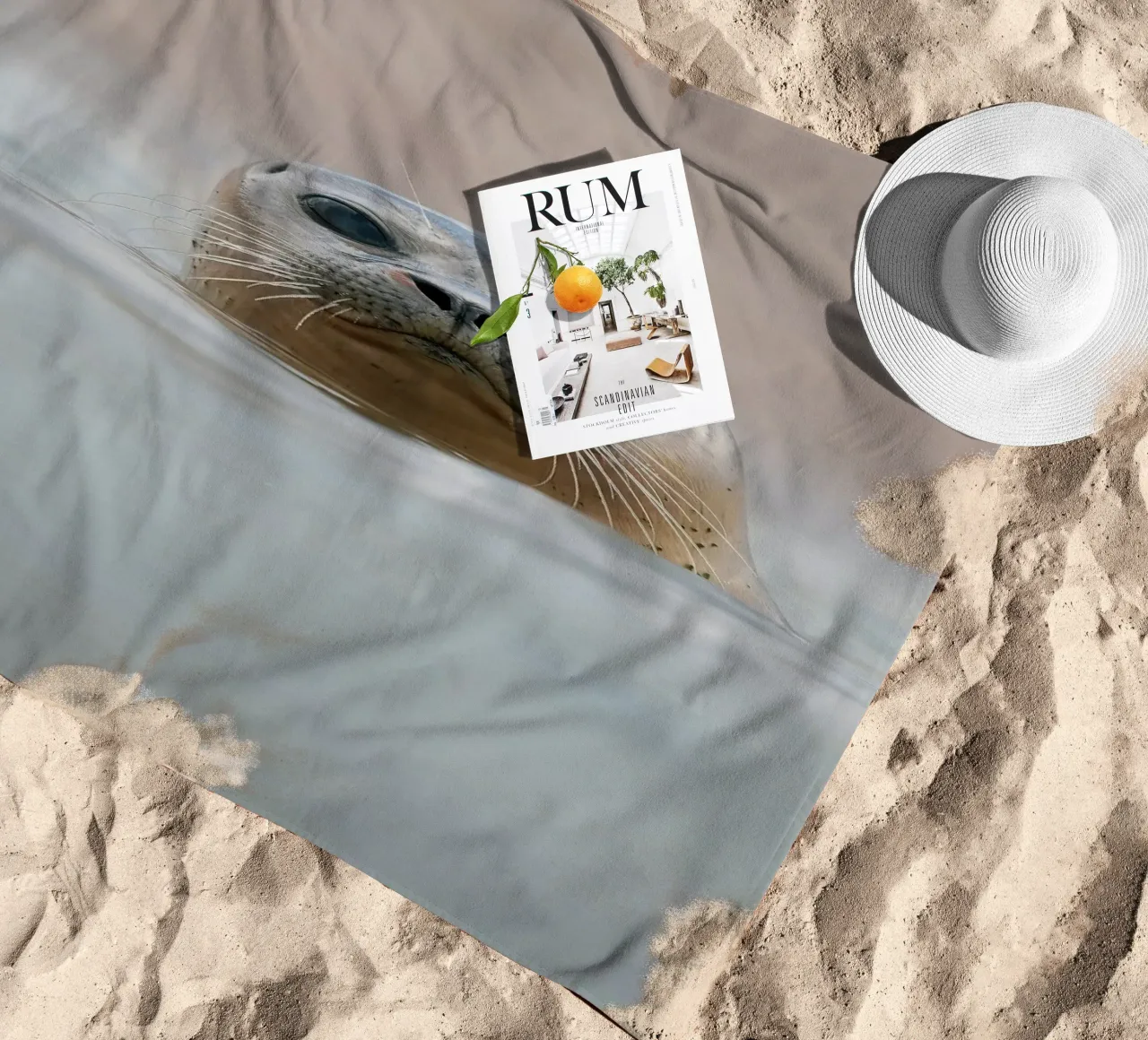 Sigillo telo mare da Tom's Wildlife